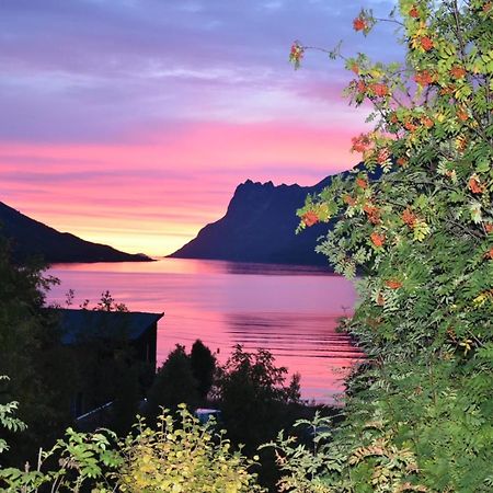 The Crush Hotel Ersfjordbotn Екстериор снимка