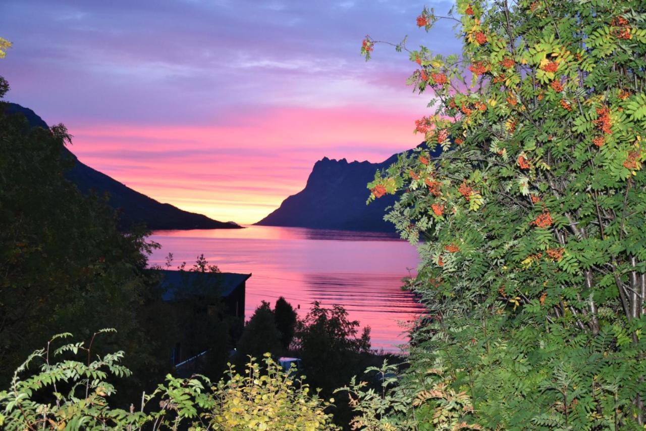 The Crush Hotel Ersfjordbotn Екстериор снимка