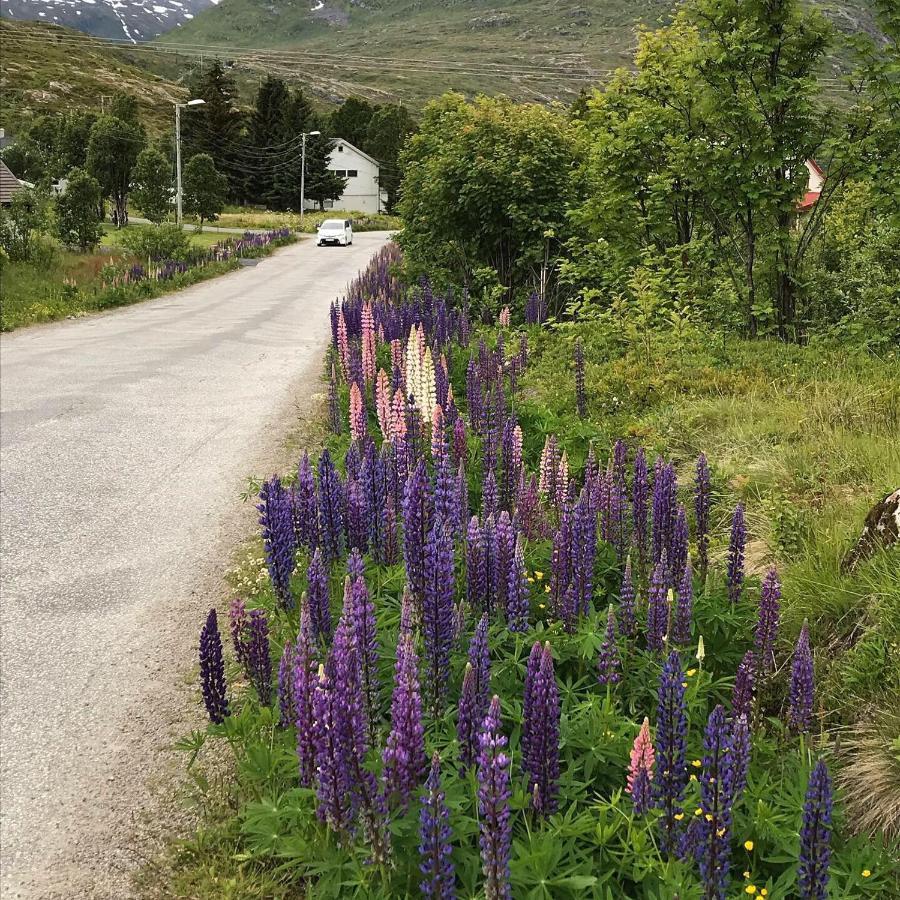 The Crush Hotel Ersfjordbotn Екстериор снимка